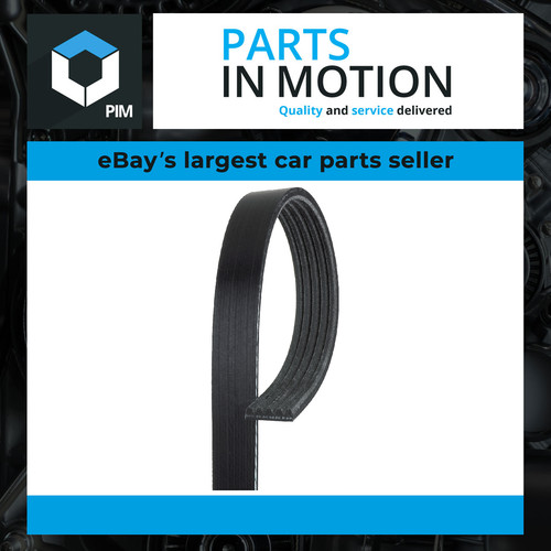 Rib multi drive belt fits - 5, v