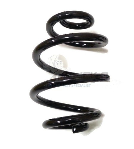 Rear suspension coil spring - rear,